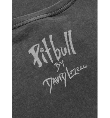 PitBull West Coast - dámské triko DOUBLETROUBLE washed šedé (4)