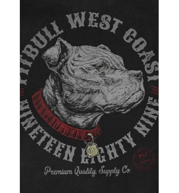 PitBull West Coast - pánská KPZ mikina STRENGHT & RESPECT washed grafitová (4)