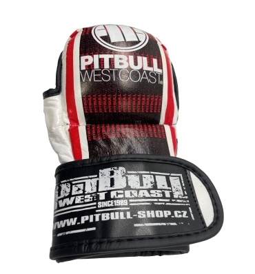 Rukavice MMA P.B.W.C. Logo kožené biele (4)